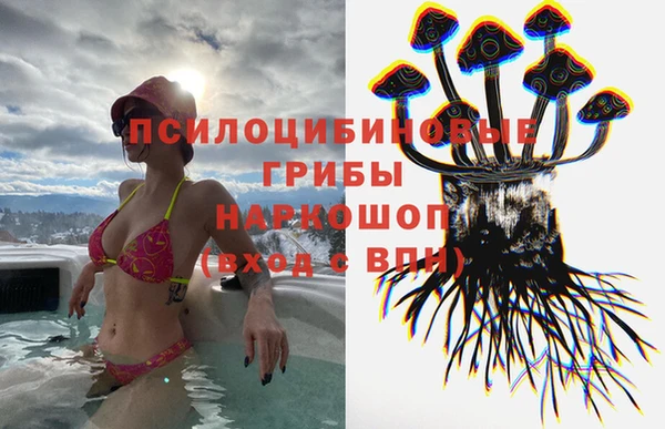 гидра Алзамай