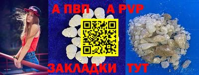 стафф Донской