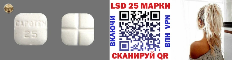 OMG вход  даркнет сайт  Менделеевск  Лсд 25 экстази ecstasy 