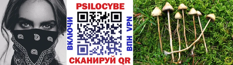 купить закладку Менделеевск Псилоцибиновые грибы Magic Shrooms