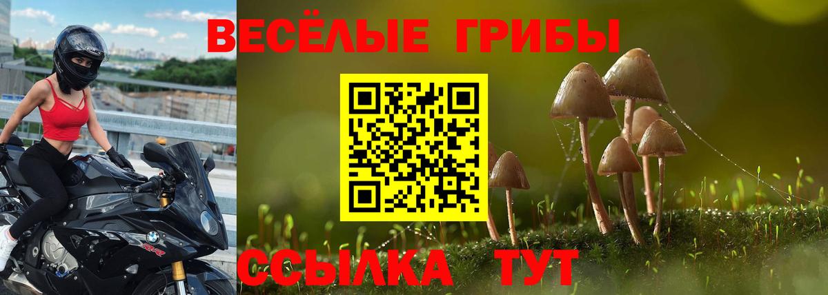 Псилоцибиновые грибы Magic Shrooms  Вход с VPN  Менделеевск 